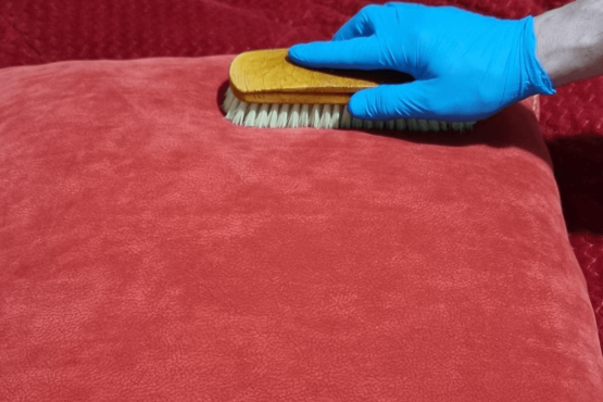 Βιολογικός καθαρισμός καναπέ